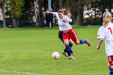 Bild 184 - Frauen Hamburger SV - ESV Fortuna Celle : Ergebnis: 1:1